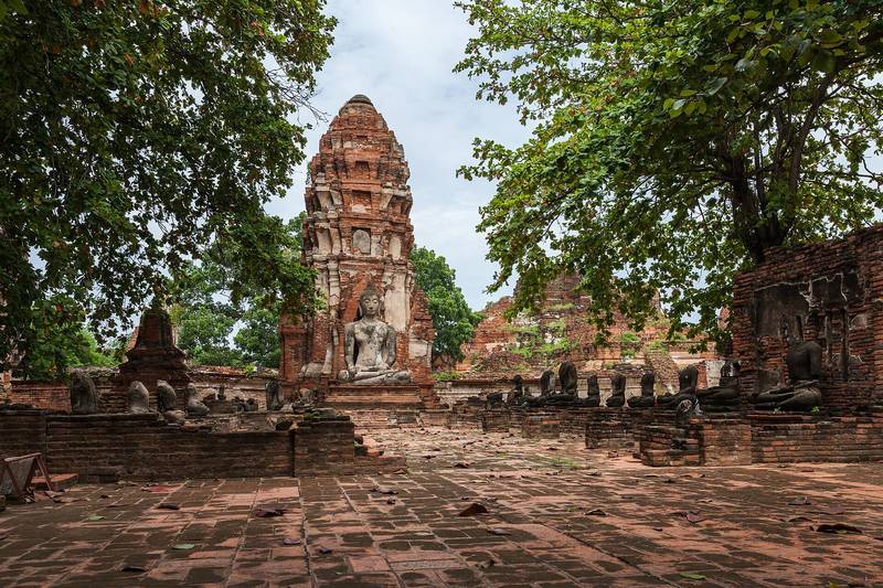 ปรางค์และซากโบราณสถานอิฐแดงของวัดมหาธาตุ ท่ามกลางต้นไม้